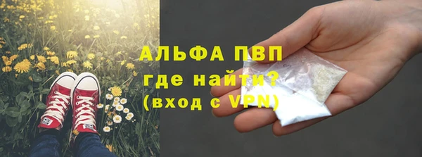 амф Кукмор
