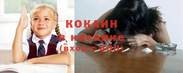 стафф Кулебаки