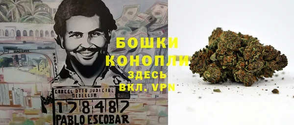стафф Кулебаки