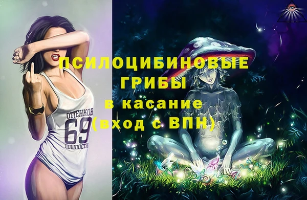 стафф Кулебаки