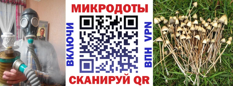 Купить  Кропоткин  Псилоцибиновые грибы GOLDEN TEACHER 